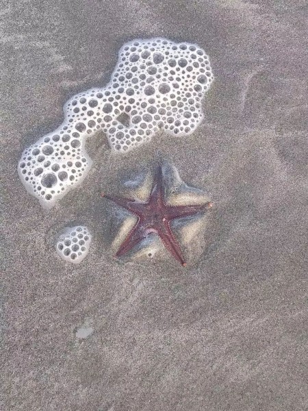 遇見陽越，遇見惠州&middot;2019陽越安防夏日游